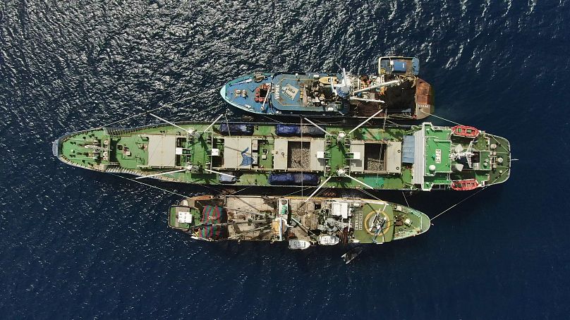 Transbordement de thon dans l'atoll de Majuro, Îles Marshall