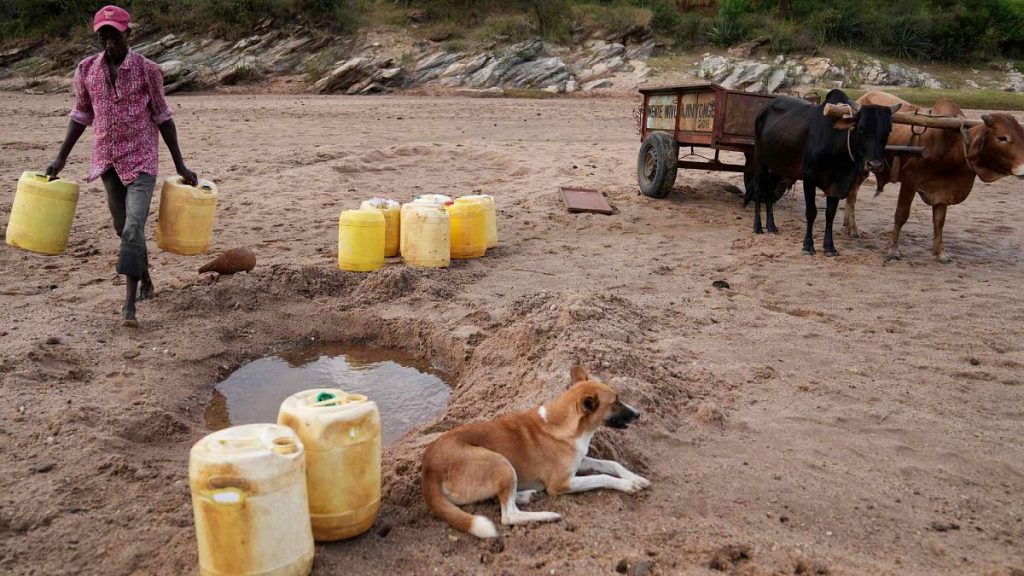 A man carries jugs to fetch water from a hole in the sandy riverbed in Makueni County, Kenya, Thursday, Feb. 29, 2024.