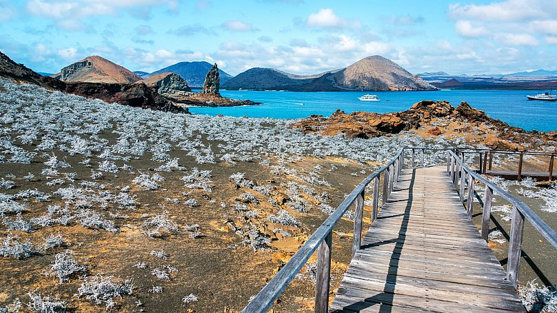Les îles Galapagos doublent leurs frais d'entrée pour les touristes.