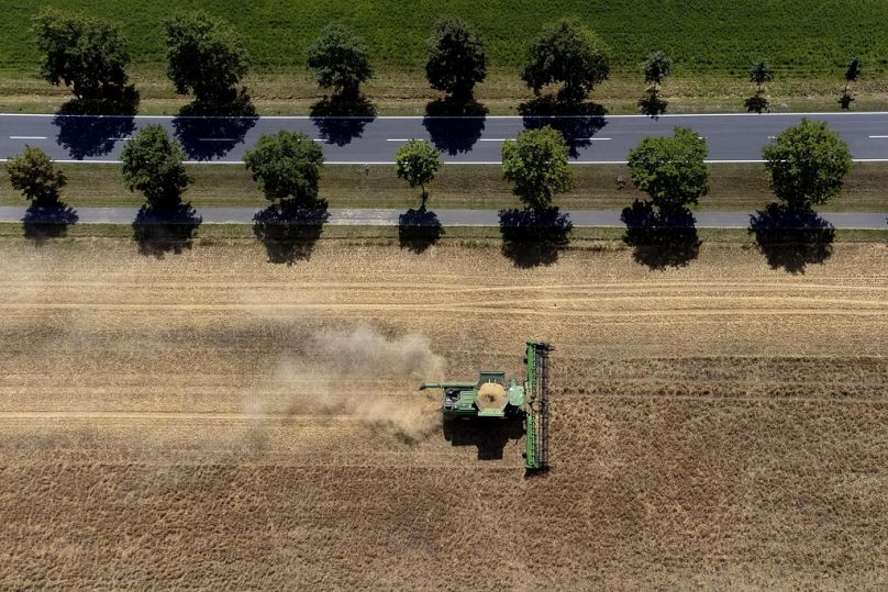 Un agriculteur récolte un champ de céréales près de Wernigerode, en Allemagne.