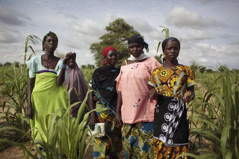 Sur cette photo prise le jeudi 19 juillet 2012, des jeunes filles se tiennent dans un champ de mil à l'extérieur du village isolé de Hawkantaki, au Niger.