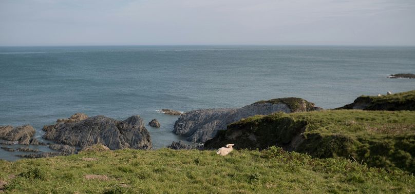 Le nord du Devon est une autre beauté côtière avec beaucoup moins de visiteurs.