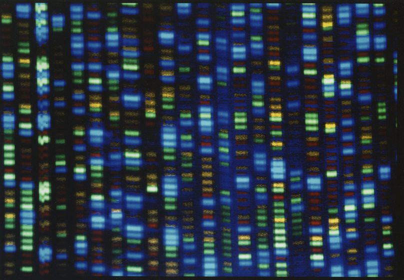 La sortie d'un séquenceur d'ADN, sans date