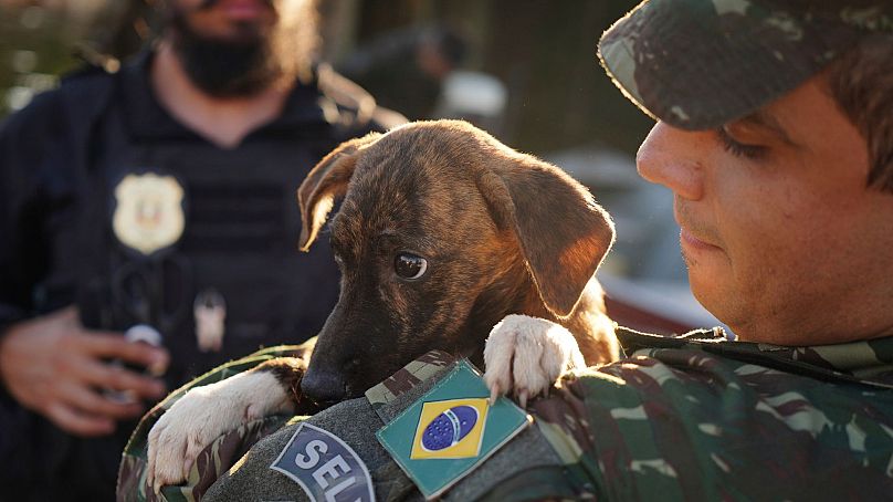 Un soldat brésilien transporte un chien après l'avoir sauvé d'une zone inondée après de fortes pluies à Canoas, dans l'État de Rio Grande do Sul, au Brésil, le jeudi 9 mai 2024.