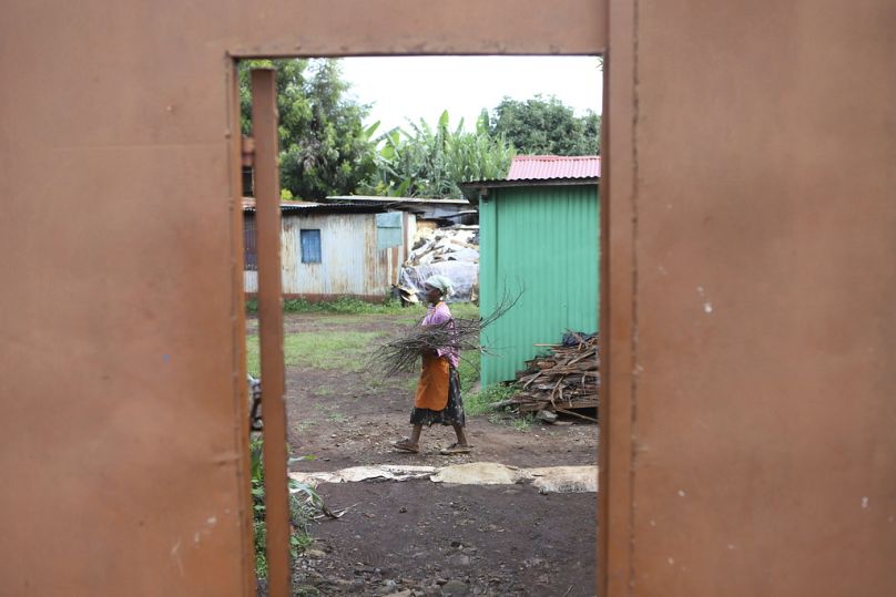 ramène du bois de chauffage à la maison pour préparer le petit-déjeuner à Kiambu, Kenya, mai 2024