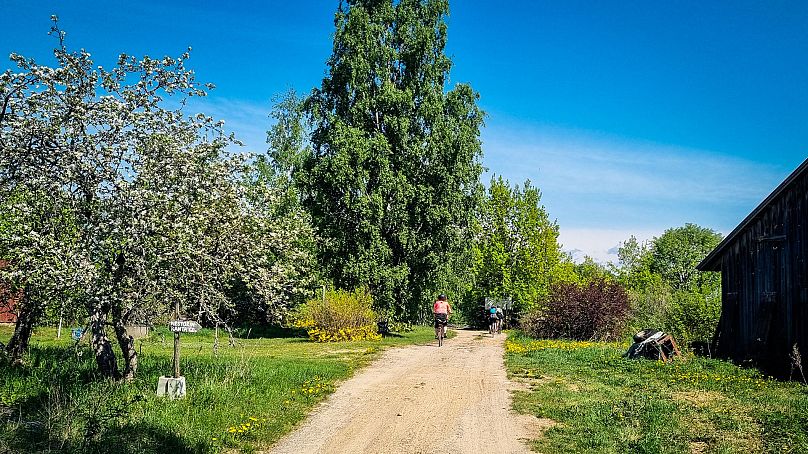 Outre la vue sur le lac, il existe également des routes de gravier traditionnelles sur le périphérique Puumala, long de 60 kilomètres.