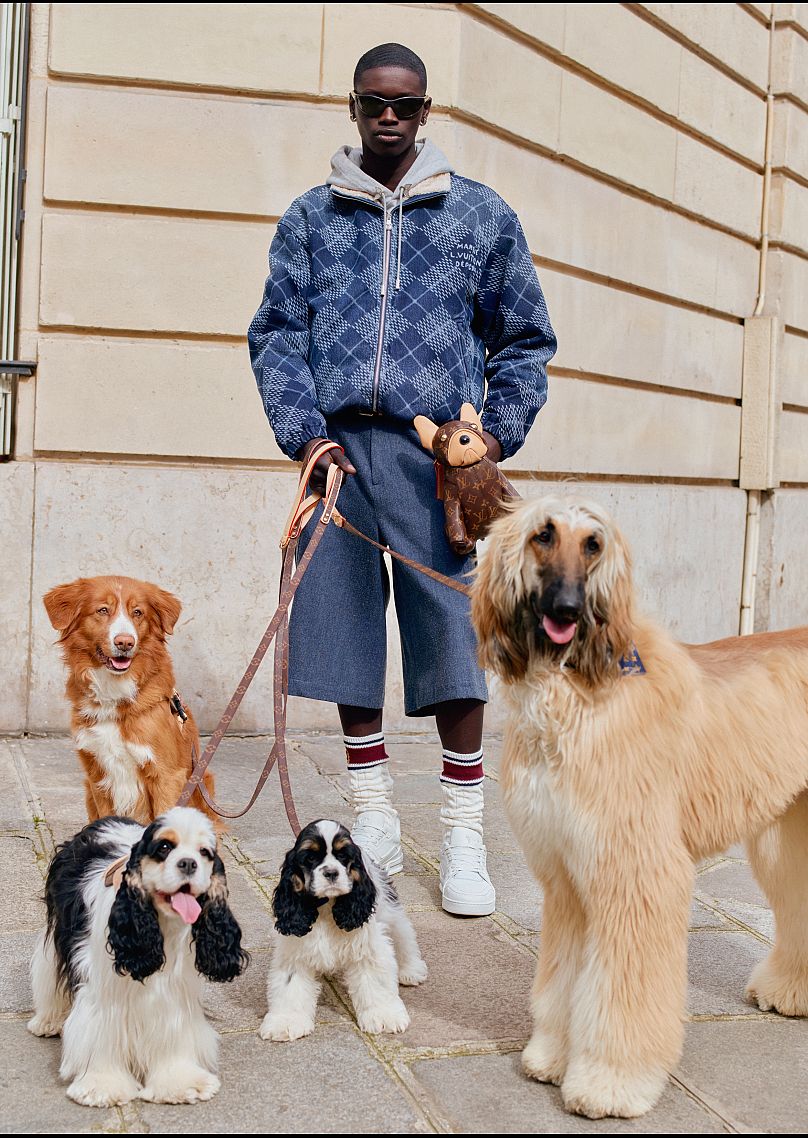 J'aime la façon dont votre sac pour chien va avec vos chiens