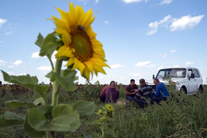 Les ouvriers agricoles font une pause pour déjeuner pendant la récolte des tournesols dans un champ de la région de Donetsk, dans l'est de l'Ukraine.