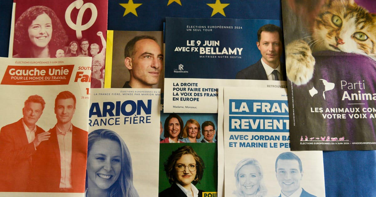 4 façons dont les élections européennes pourraient remodeler la politique française