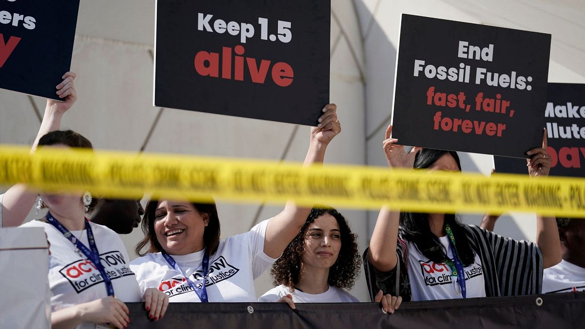 Activists protest against fossil fuels at the COP28 UN Climate Summit, 5 December 2023, in Dubai, United Arab Emirates.