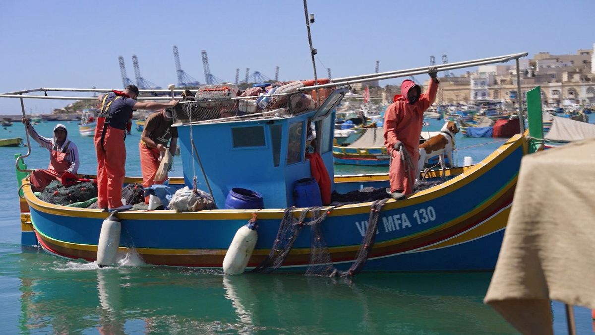 Scientific observers work with fishers shaping future of Malta