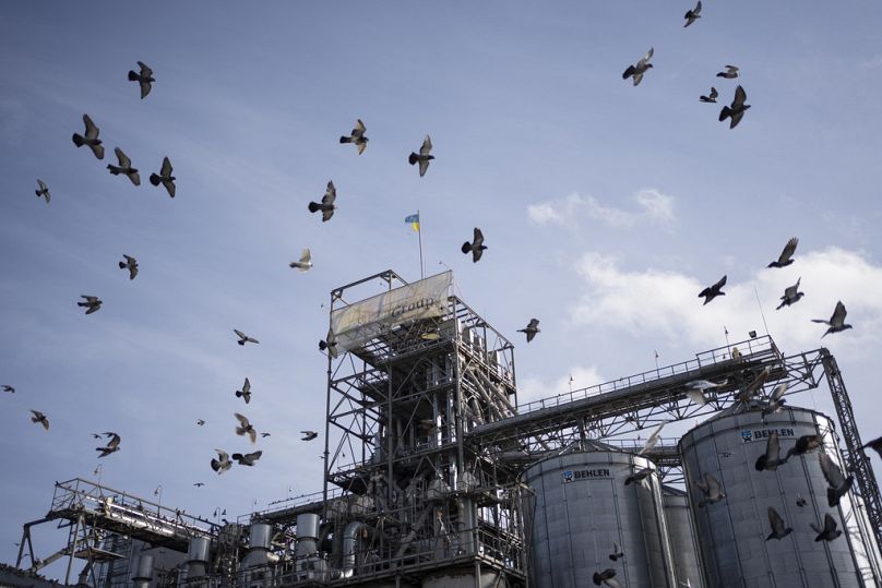 Des oiseaux volent autour d’une installation de manutention et de stockage de céréales dans le centre de l’Ukraine, novembre 2023