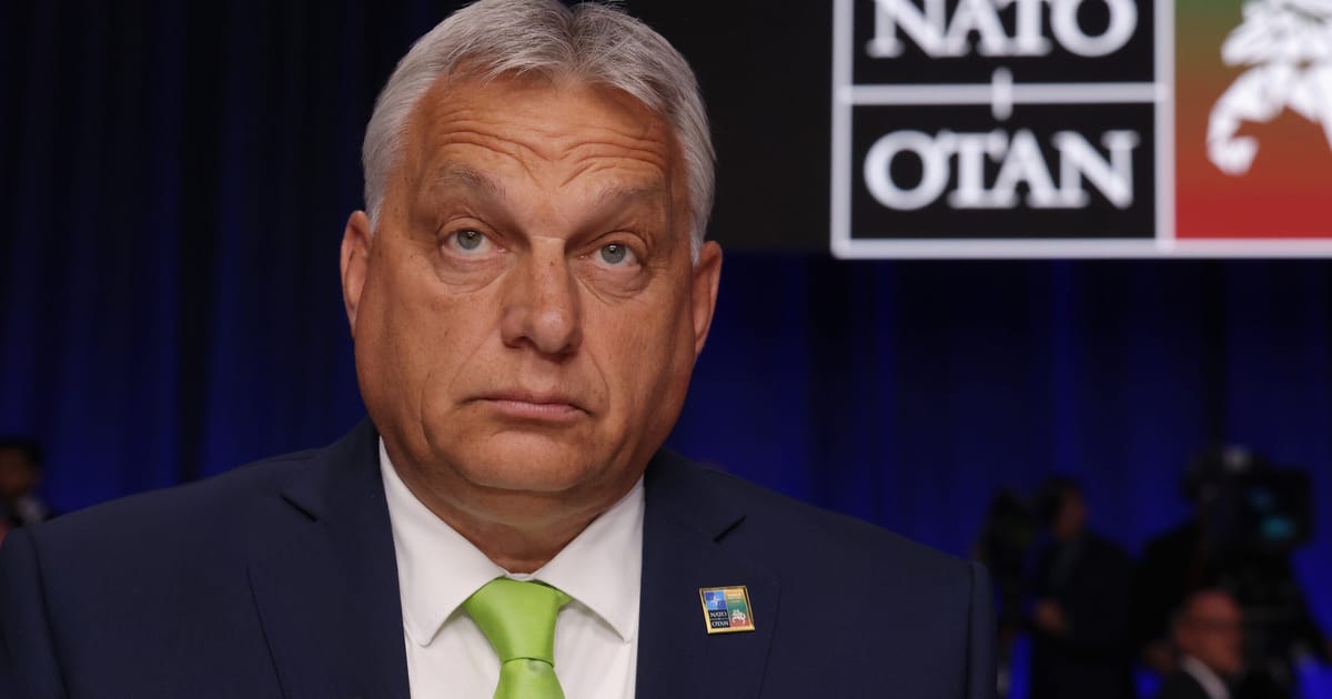 Hongrie : le double champion de la défense de l'UE