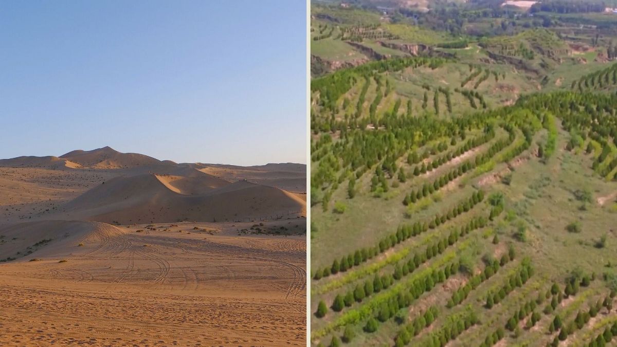 The Maowusu Desert in China has vanished from the map