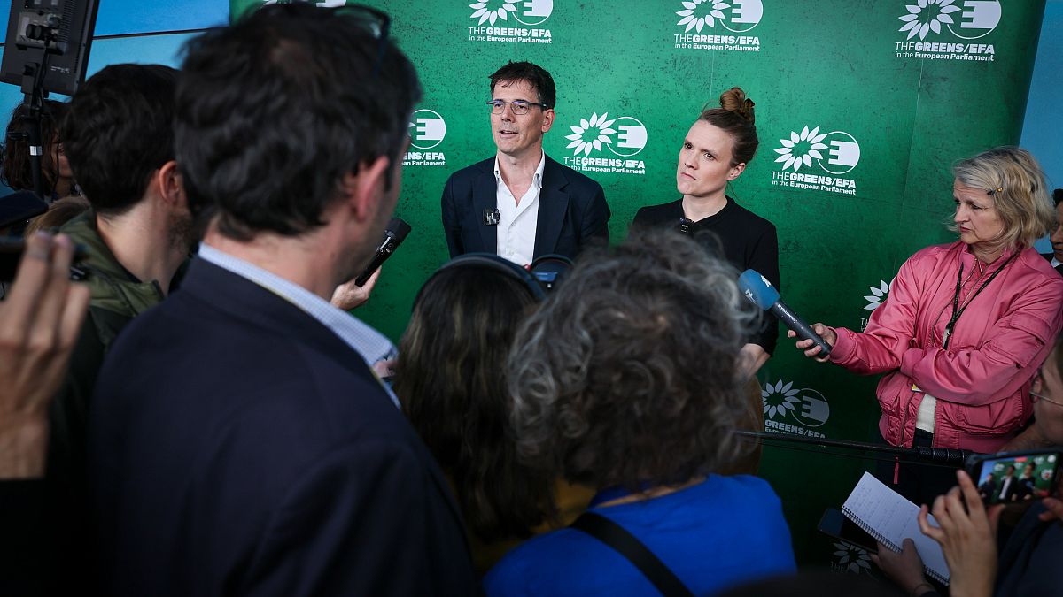 German MEP Terry Reintke and Dutch lawmaker Bas Eickhout have been appointed new Greens/EFA co-presidents in the group’s constitutive meeting today.