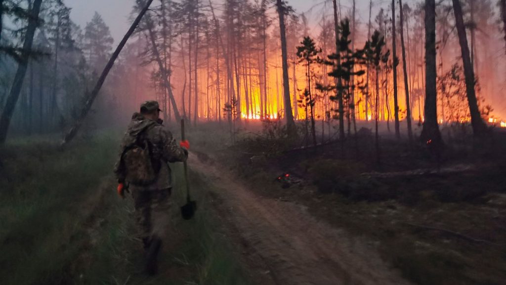 A volunteer works to douse a forest fire in the republic of Sakha in 2021.