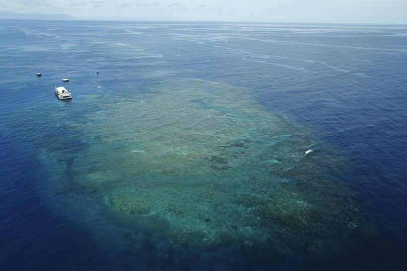 Une section de la Grande Barrière de Corail au-dessus du récif Moore, dans la région maritime de Gunggandji, au large des côtes du Queensland, dans l'est de l'Australie.