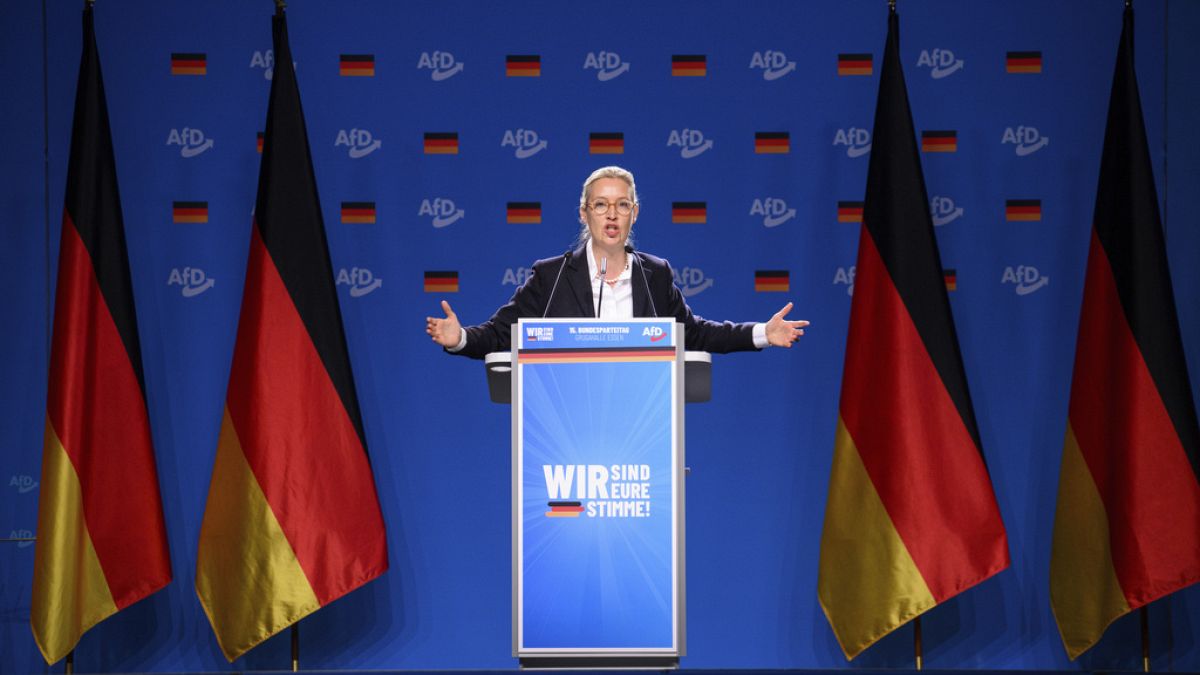Alice Weidel, Federal Chairwoman of the AfD, speaks at the AfD
