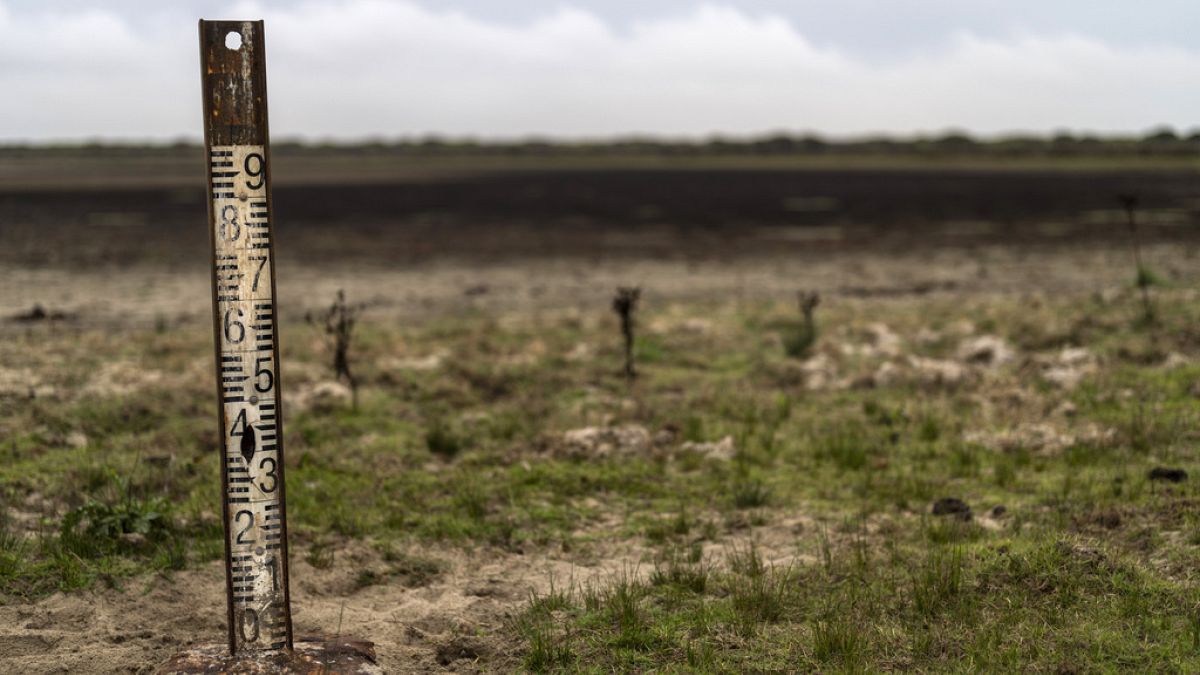 A water meter stands in a dry wetland in Donana natural park, southwest Spain, on Oct. 19, 2022.