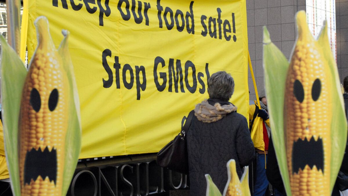 A protest in Brussels, 2008. Although licenced under EU law, public sentiment has led most member states to ban GM crops.