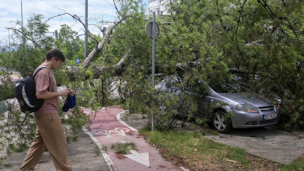 A person walks past a downed tree after a powerful storm in Montenegro