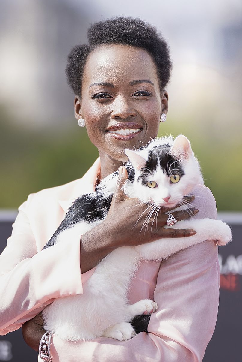 Lupita Nyong'o a dû suivre une forme de thérapie par chat avant le tournage de « Sans un bruit : Jour 1 ». 