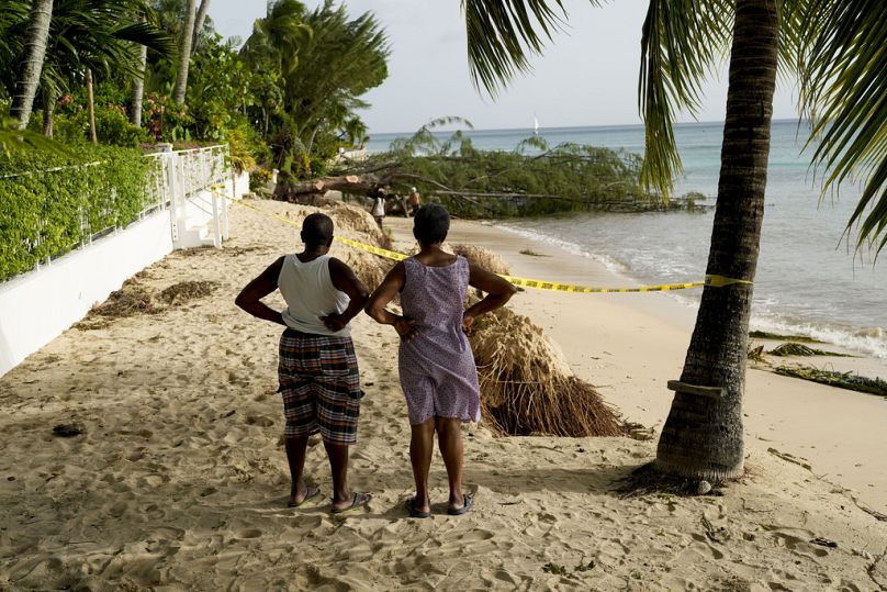 Des voisins observent l'érosion de la plage et un arbre tombé le lendemain du passage de l'ouragan Beryl à St. James, à la Barbade