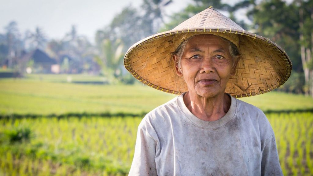 Rize is helping rice farmers In Southeast Asia to reduce their methane emissions.