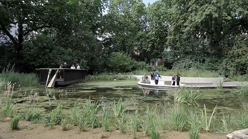 Jardin de découverte de la nature du musée d'histoire naturelle de Londres 