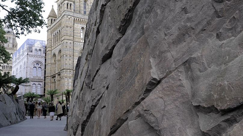 Le mur de la chronologie de l'évolution dans les jardins récemment rénovés du musée d'histoire naturelle de Londres 