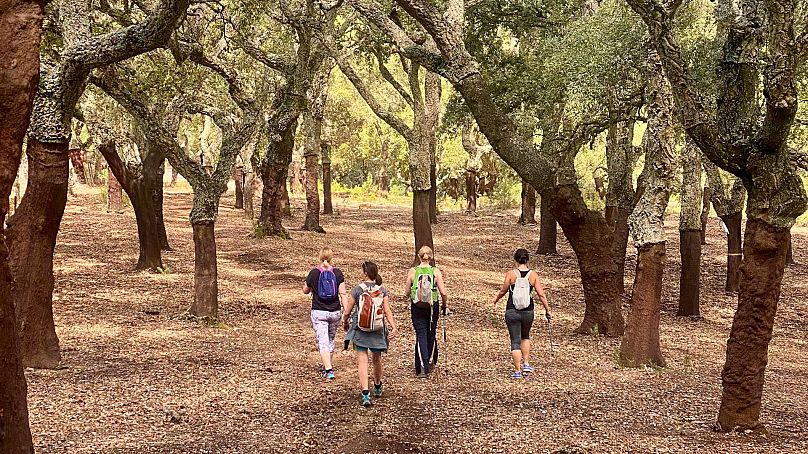 Les escapades nomades numériques rurales rapprochent les travailleurs à distance de la nature.