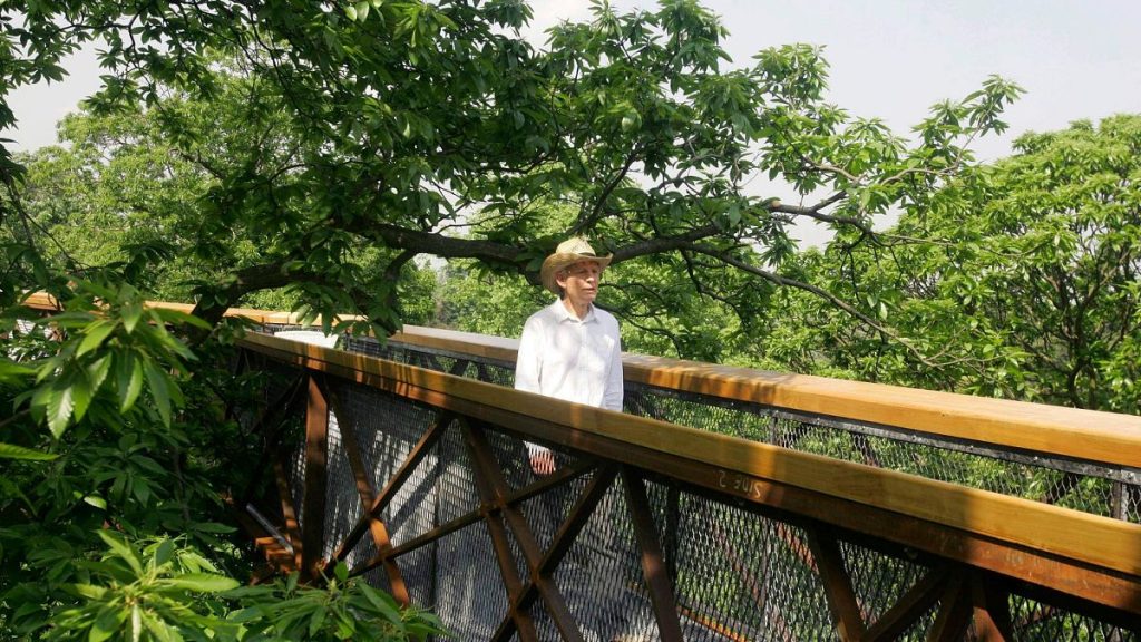 A visitor walks on the Treetop Walkway amongst the trees at The Royal Botanic Gardens in Kew, London.