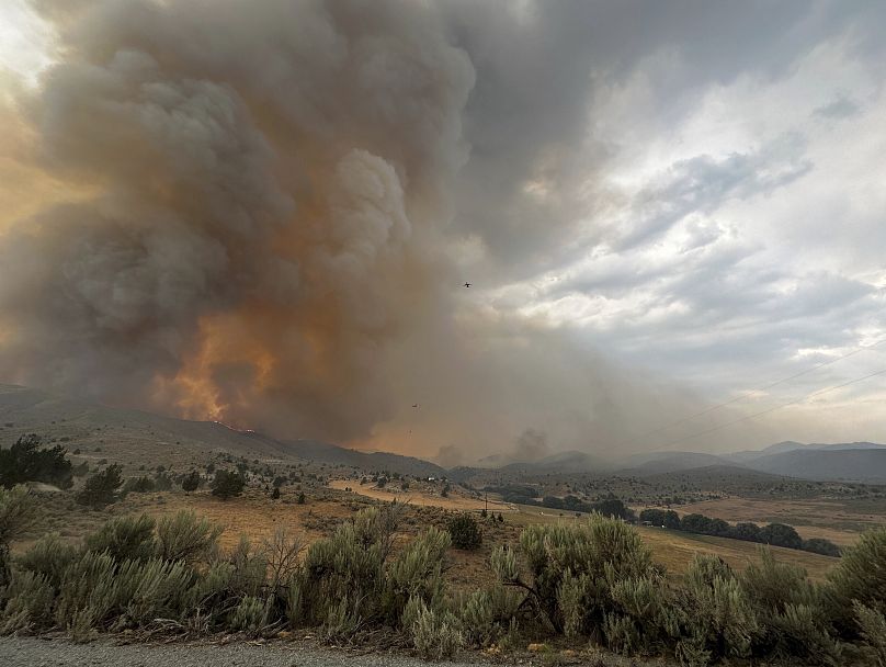 Sur cette image fournie par le Service des forêts du ministère de l'Agriculture des États-Unis, de la fumée s'élève d'un incendie de forêt le lundi 22 juillet 2024, près de Durkee. 