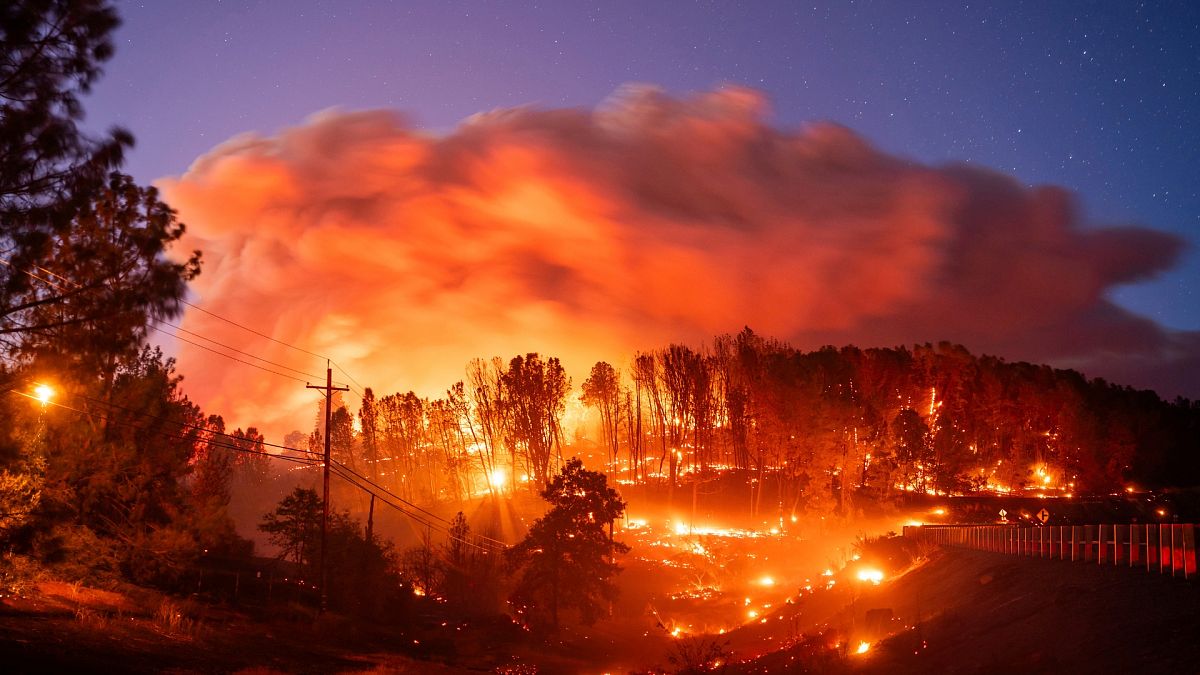 The Park Fire burns along Highway 32 in the Forest Ranch community of Butte County, California.