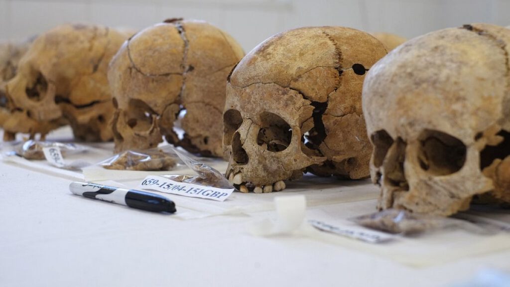 FILE - Skulls of missing persons in anthropologist laboratory of Cyprus Missing Persons inside the U.N buffer zone in the divided capital Nicosia, Cyprus, on May 31st 2017