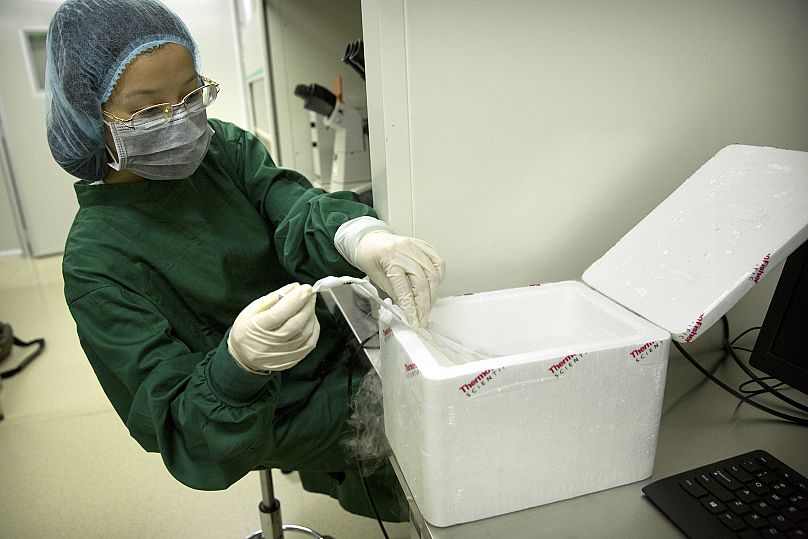 Un embryon est placé dans son tube de stockage dans un bain d'azote liquide après son retrait du stockage cryogénique 