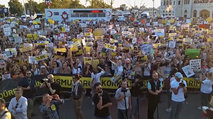 Manifestation à Istanbul contre un projet de loi qui, selon les détracteurs, pourrait conduire à l'abattage massif de chiens errants, le 27 juillet 2024