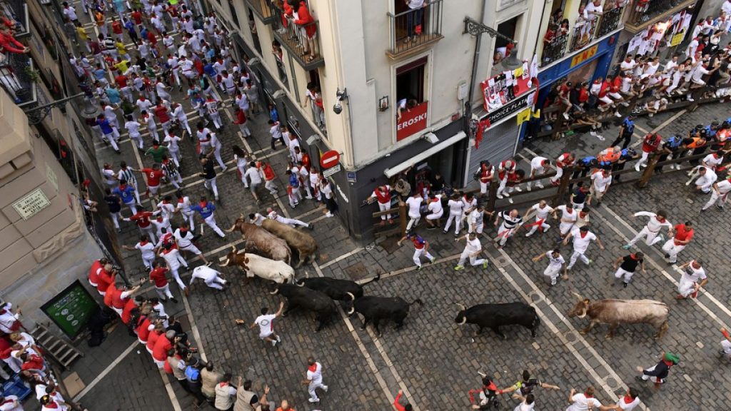 Revelers run with bulls from the José Escolar ranch during the seventh day of the running of the bulls at the San Fermín fiestas in Pamplona, Spain, Saturday, July 13, 2024.