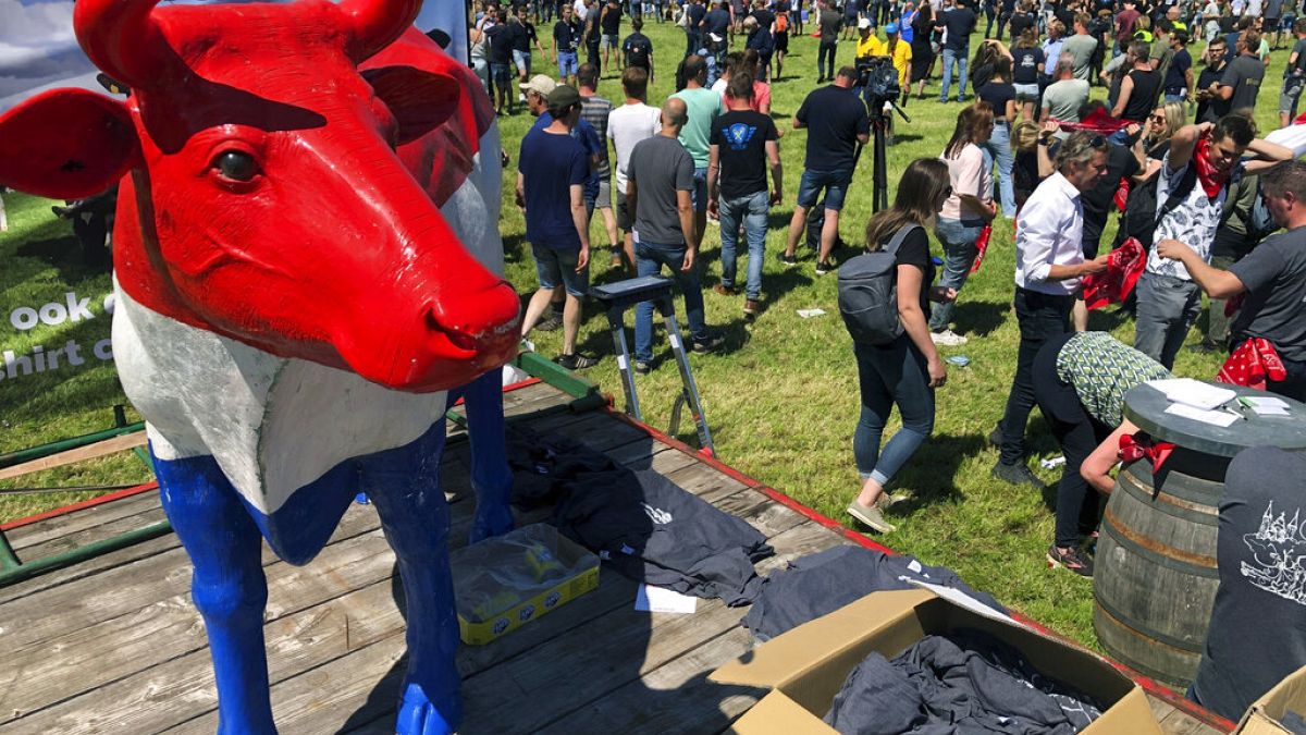 Dutch farmers protesting against the government’s plans to reduce emissions of nitrogen oxide and ammonia gather for a demonstration at Stroe, Netherlands, Wednesday, June 22