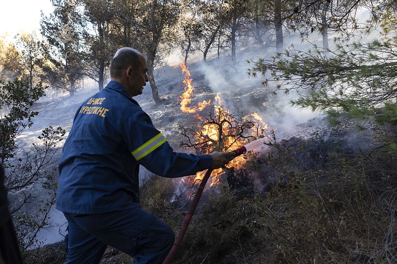 Un pompier tente d'éteindre un incendie de forêt dans la région de Keratea, au sud-est d'Athènes, en Grèce, le dimanche 30 juin 2024.