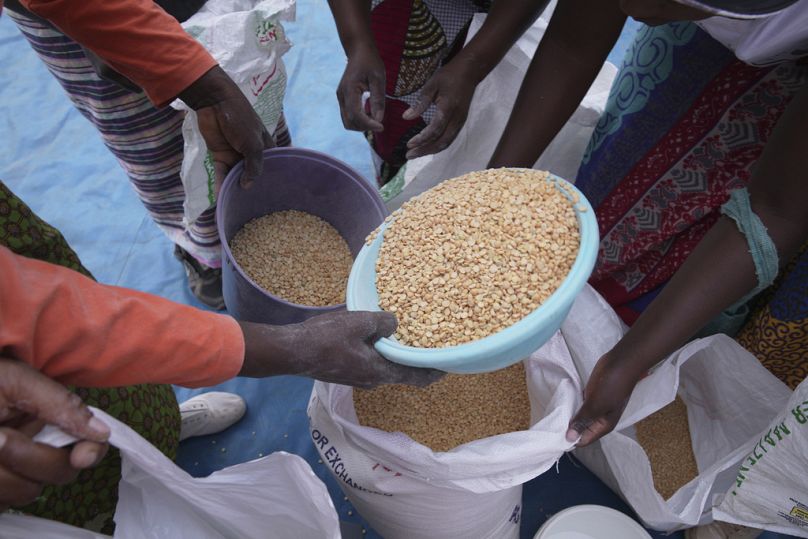 Des femmes partagent des pois lors d'une distribution d'aide alimentaire dans le district de Mangwe, dans le sud-ouest du Zimbabwe, le vendredi 22 mars 2024.