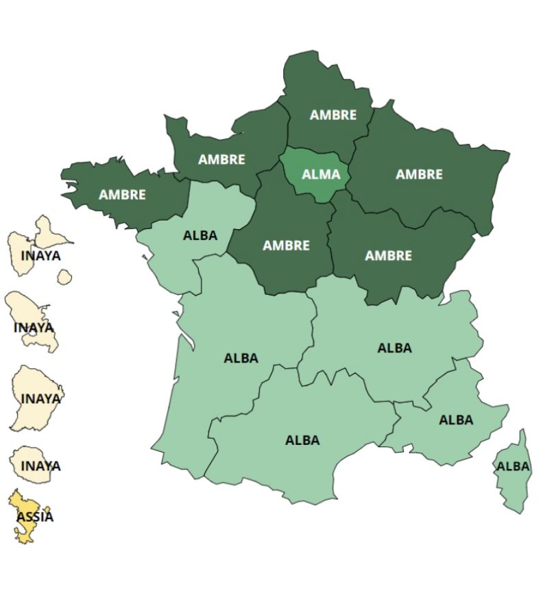 Les prénoms de filles en France en 2023