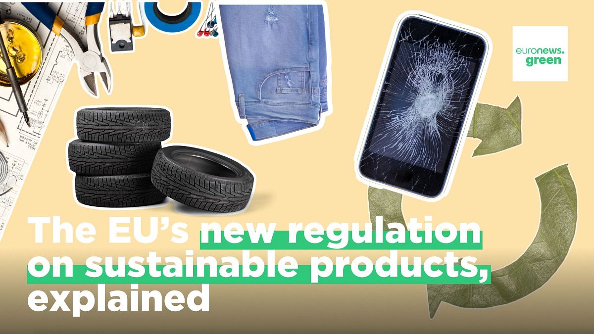 Repairable, recyclable and circular: What