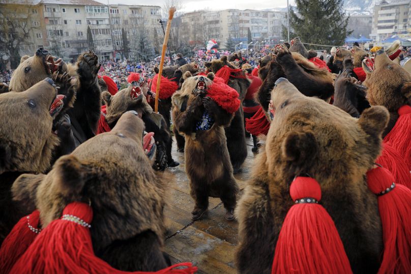 Les Roumains célèbrent les ours bruns et les craignent tout autant. Des Roumains portant des fourrures d'ours dansent lors du rassemblement rituel annuel autour de l'ours à Comanesti, en Roumanie, le vendredi 30 décembre 2016.