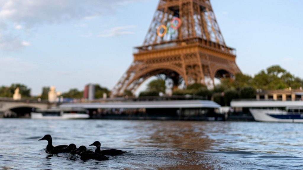 Ducks swim along the Seine River in front of the Eiffel Tower during the 2024 Summer Olympics, Monday, July 29, 2024, in Paris