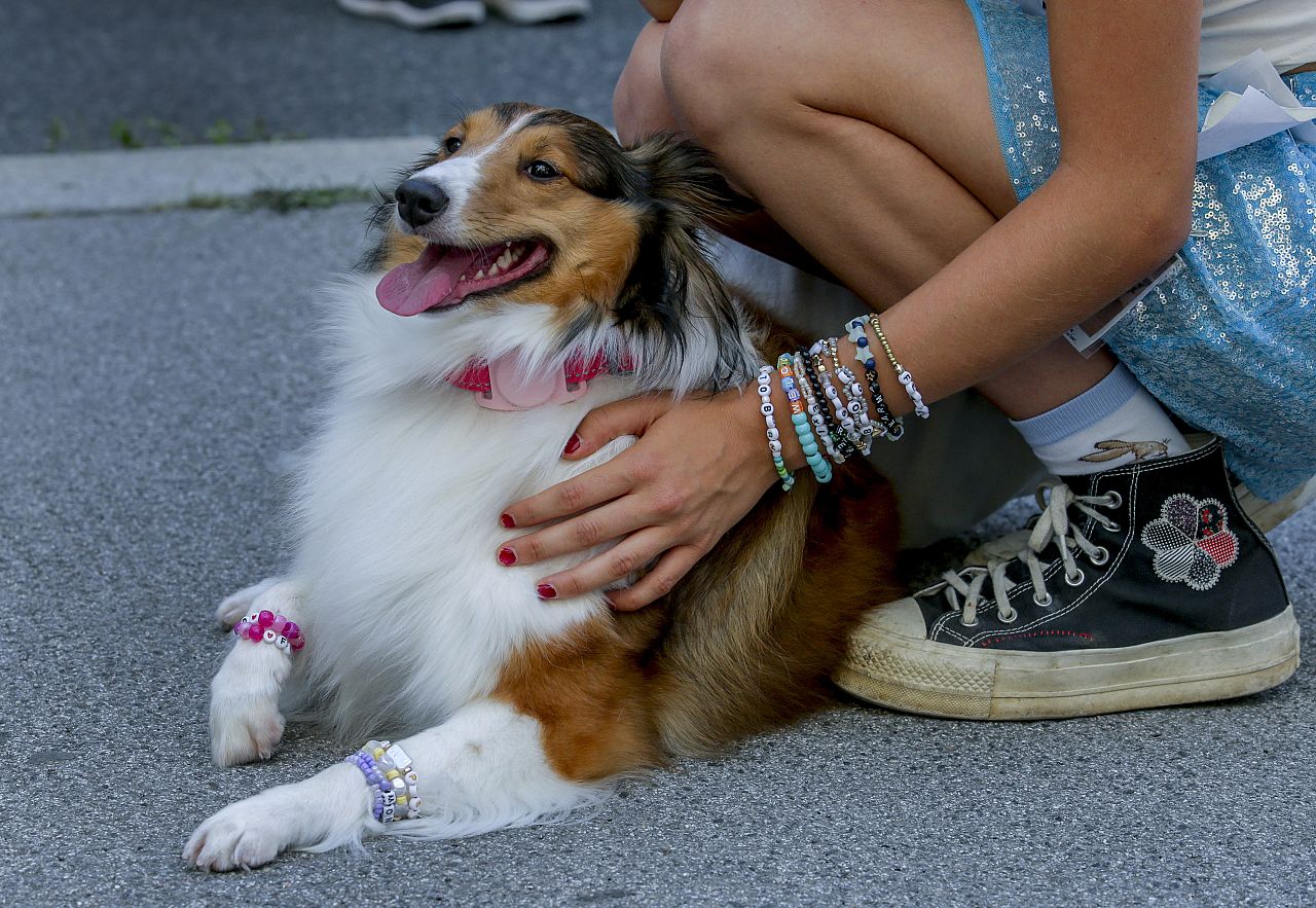 Un bon garçon avec des bracelets Swiftie