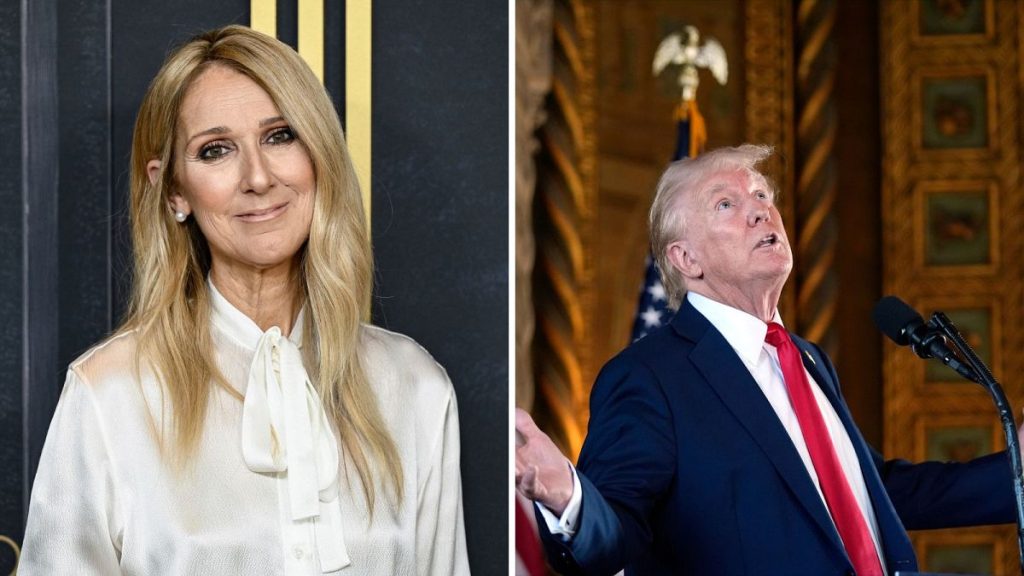 Céline Dion slams Donald Trump for