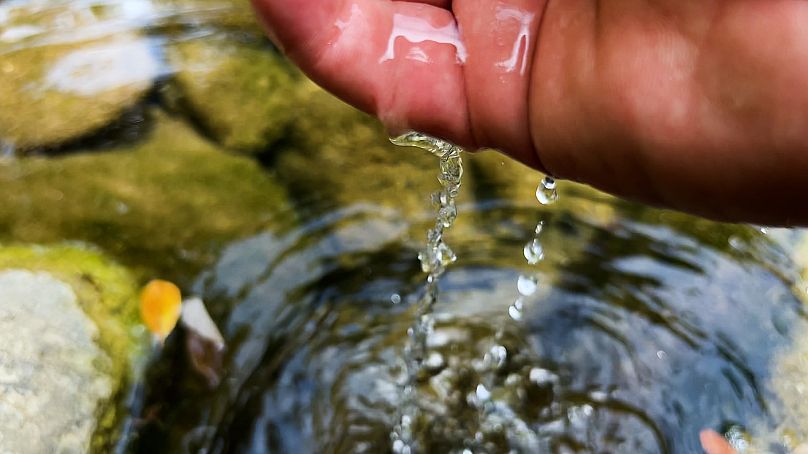 L'eau de ce ruisseau provient de roches karstiques en amont