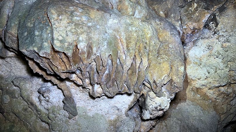 Certaines roches de la grotte sont en cours de fossilisation