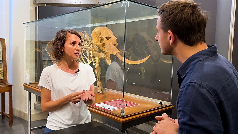 Emmanuella Di Martino devant l'éléphant nain, au Musée de Catane